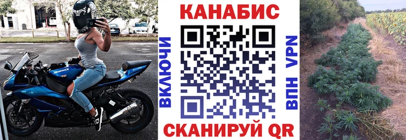 Купить наркотики цена Ленинск-Кузнецкий Канабис  Альфа ПВП  Кокаин  АМФЕТАМИН  Псилоцибиновые грибы  ГАШИШ  Мефедрон 