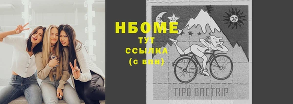 дживик Майский