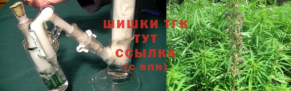 ПСИЛОЦИБИНОВЫЕ ГРИБЫ Медвежьегорск