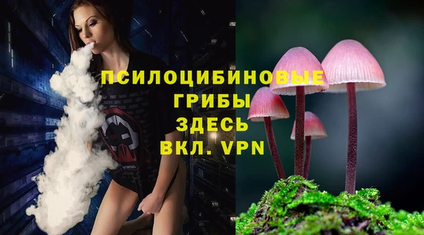 экстази Михайлов