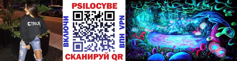 мега как зайти  где продают наркотики  Ленинск-Кузнецкий  Галлюциногенные грибы Psilocybine cubensis 