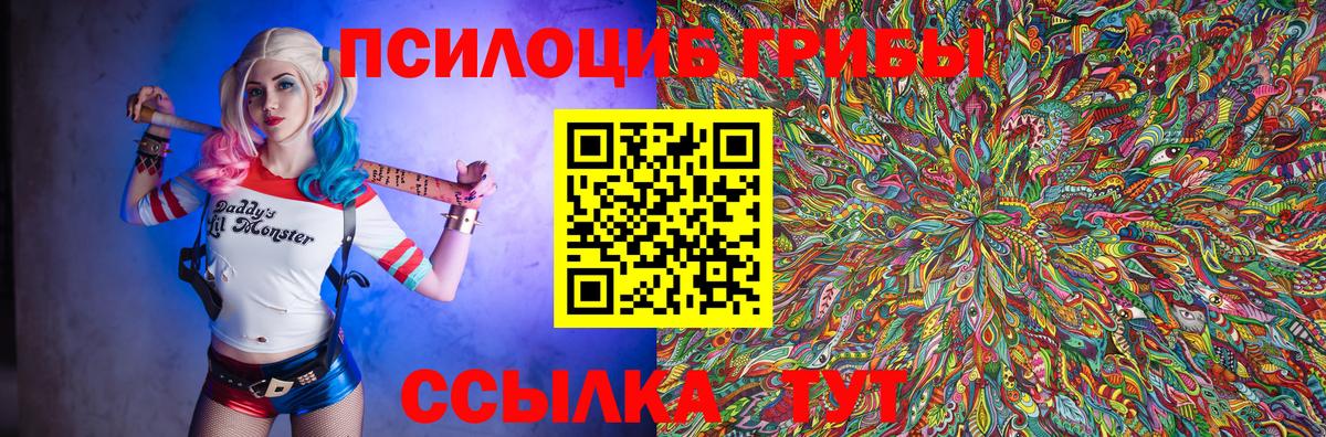 Галлюциногенные грибы Psilocybine cubensis  Ленинск-Кузнецкий 