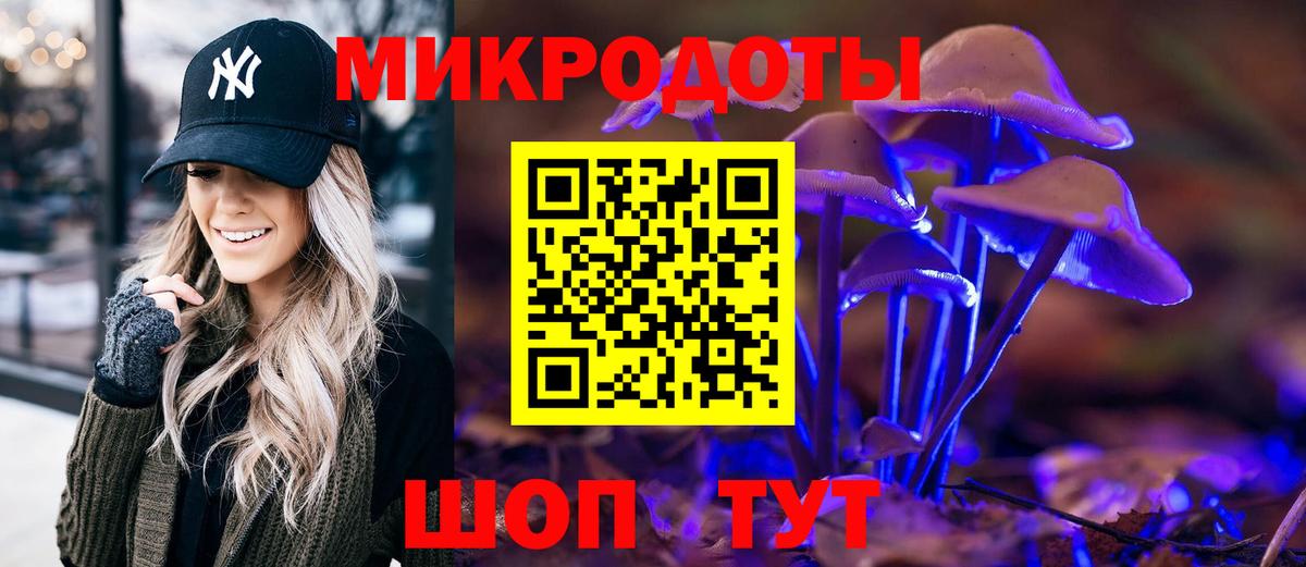 Псилоцибиновые грибы Cubensis Ленинск-Кузнецкий